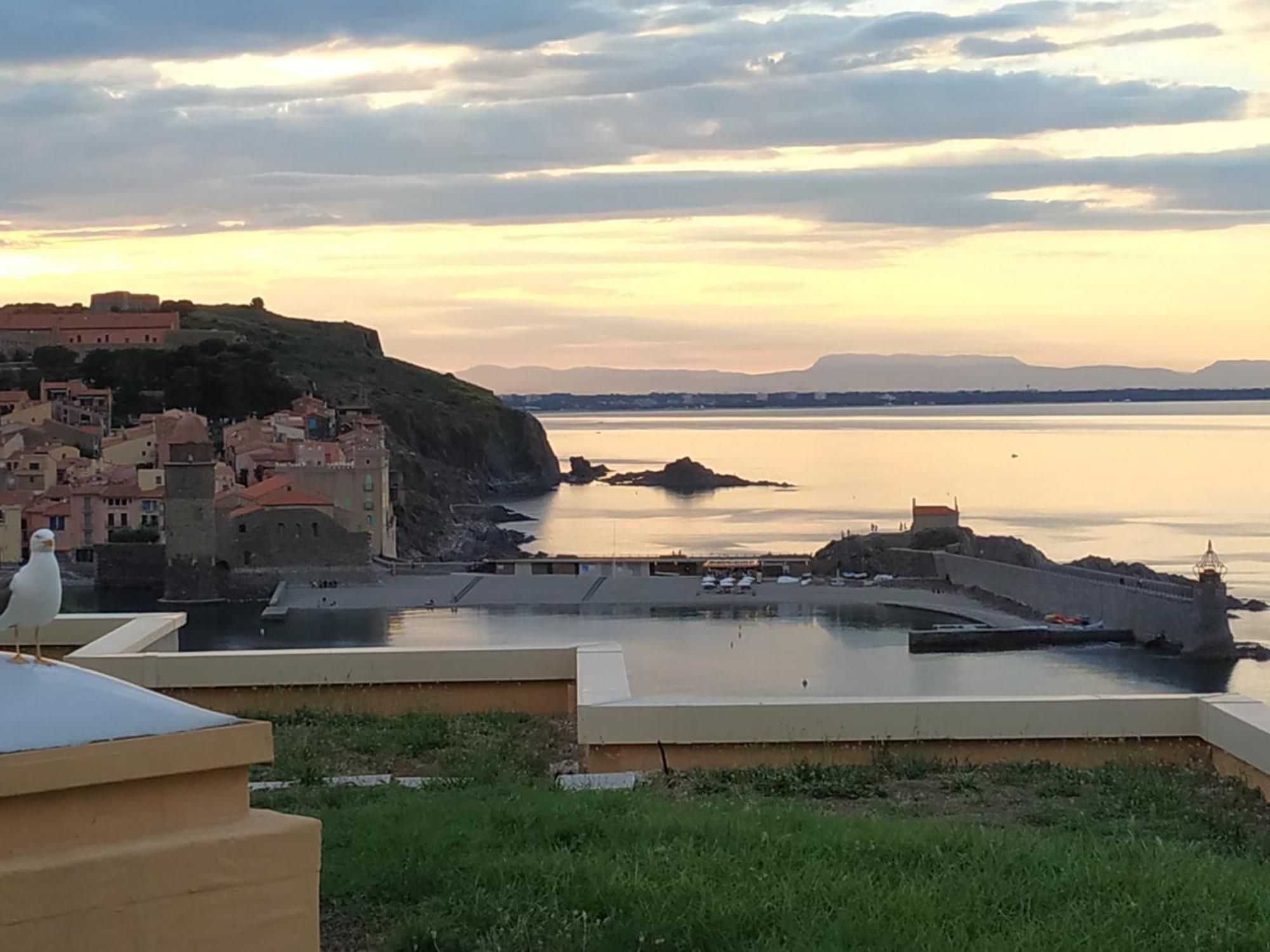 Location Vue Mer Du Samedi Au Samedi, Clim, Parking, Piscine, Plage 科利尤尔 外观 照片